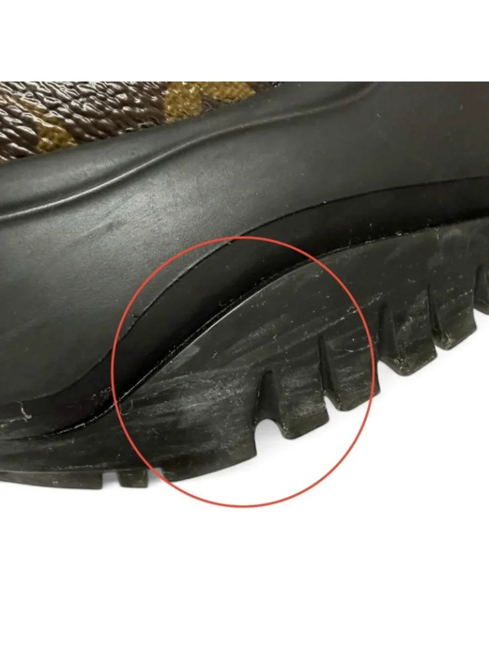 Louis Vuitton brand louis